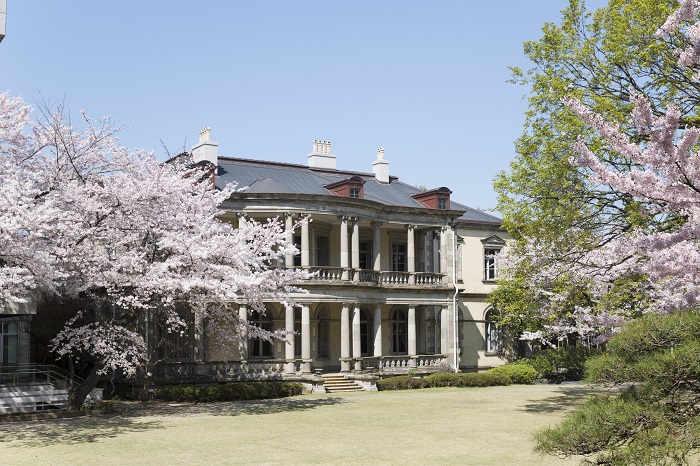 本館桜(キャンパス見学会)