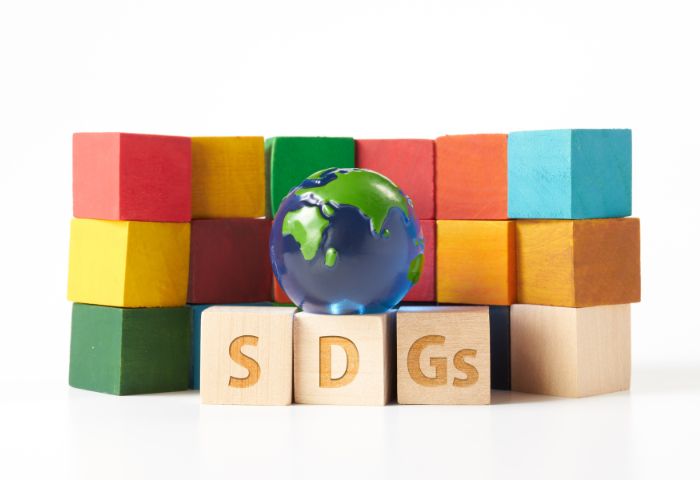 SDGs