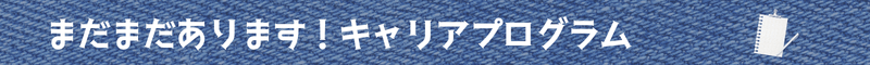 その他のキャリアプログラム