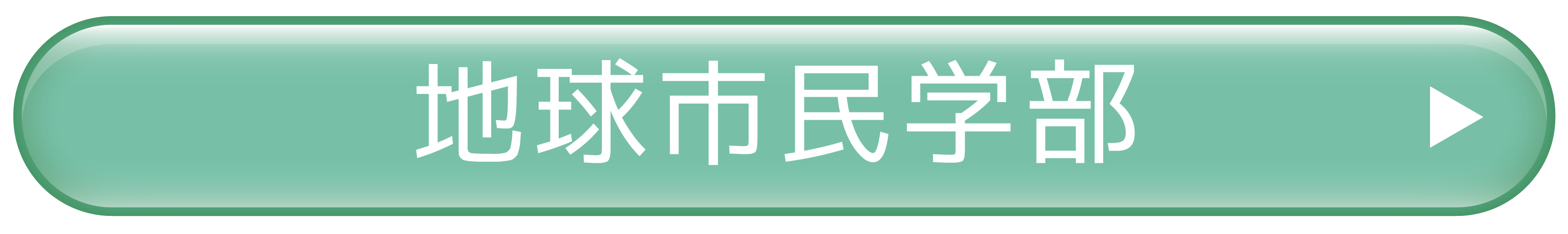 地民カラーボタン