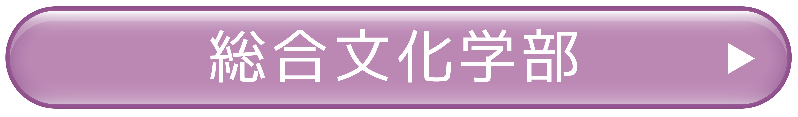 総文カラーボタン