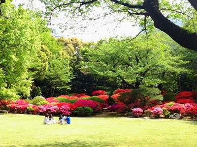ガーデンパーティー 清泉女子大学 ガーデンパーティー 清泉女子大学